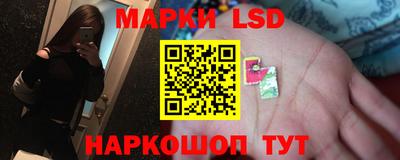 индика Кулебаки
