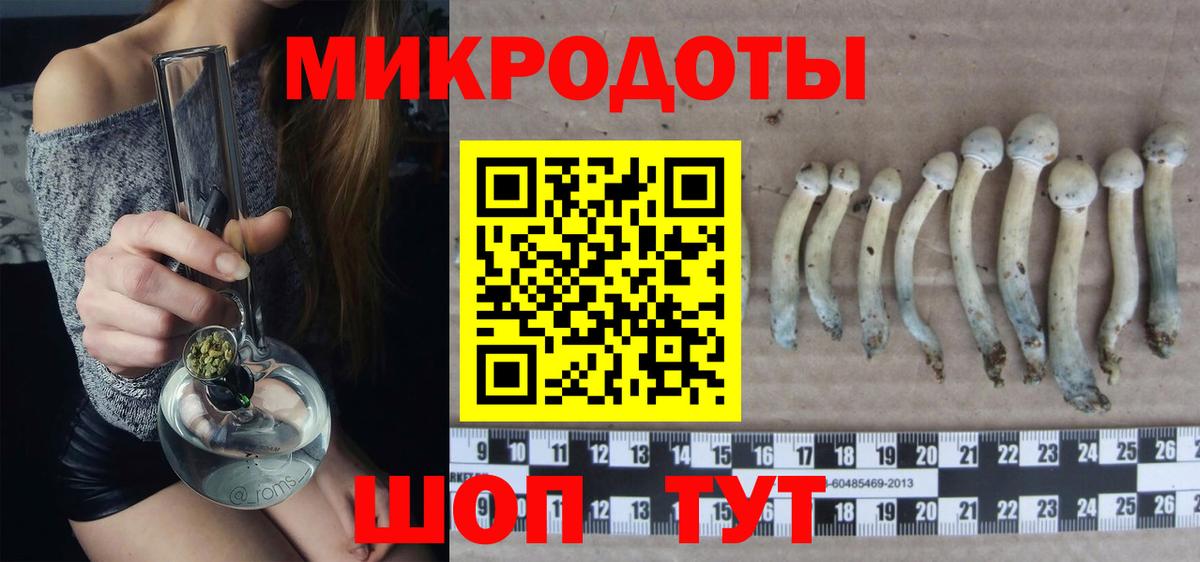 Псилоцибиновые грибы Psilocybe  Вход с VPN  магазин продажи   Галлюциногенные грибы MAGIC MUSHROOMS  Калининград 